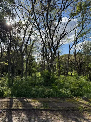 Terreno, foto 4