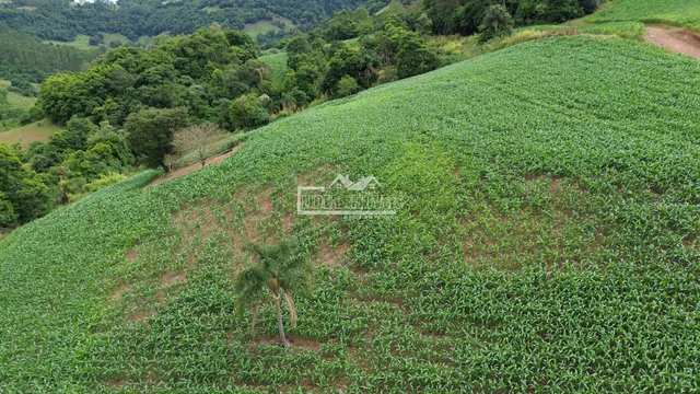 Área rural, foto 4