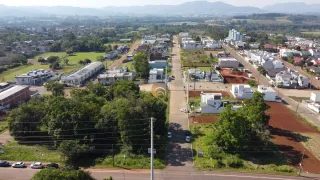 Terreno, foto 2