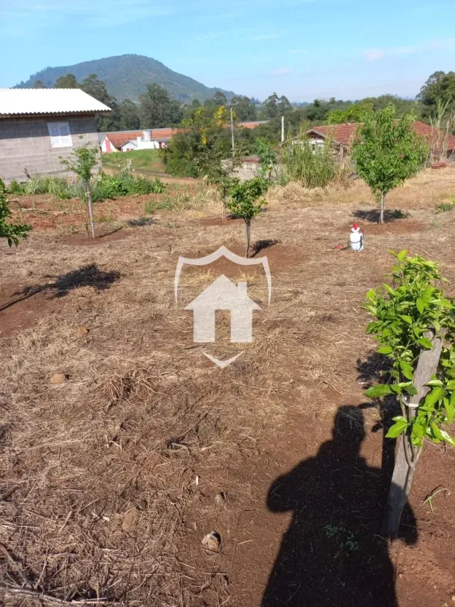 Terreno, foto 3