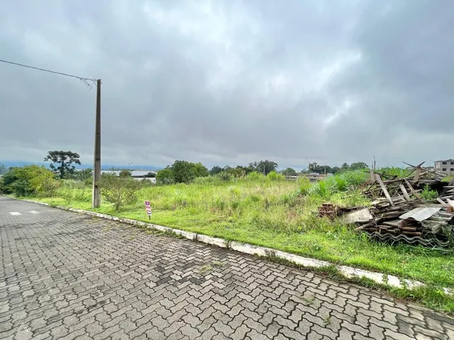Terreno, foto 2