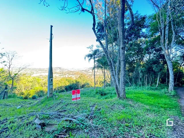 Terreno, foto 5