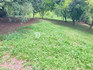 Terreno, foto 8