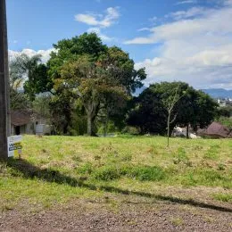 Terreno, foto 4