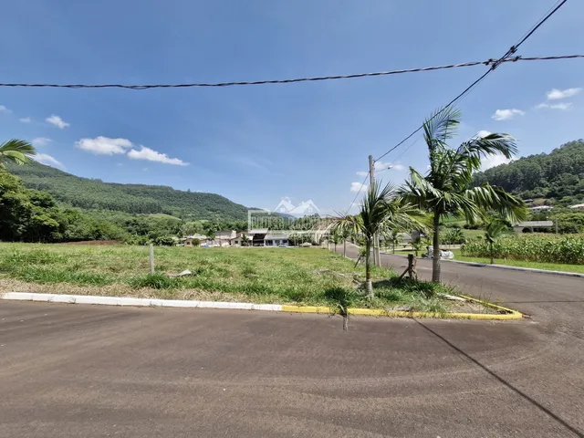 Terreno, foto 3