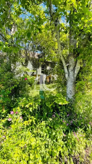 Terreno, foto 10