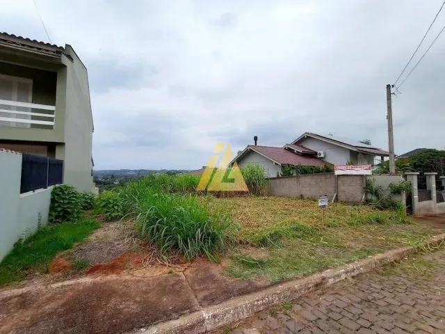 Terreno, foto 3