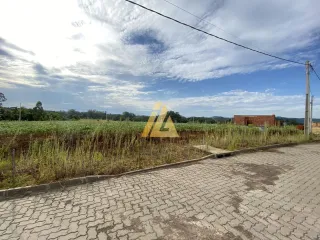 Terreno, foto 3