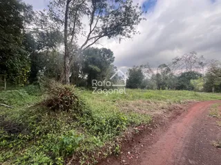 Terreno, foto 23