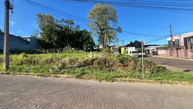 Vista externa de uma propriedade com vegetação alta ao longo da divisa com a rua.