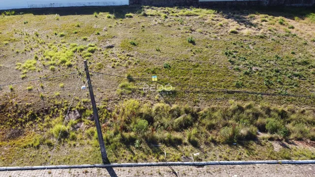 Vista aérea de um terreno com vegetação e poste de luz.