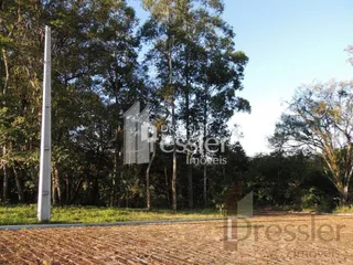 Terreno, foto 3
