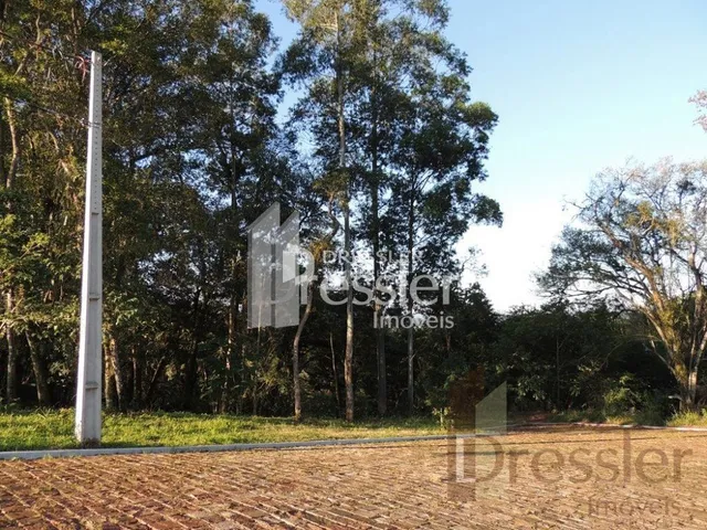 Terreno, foto 3