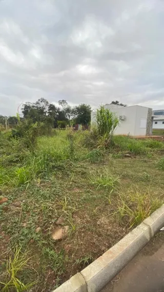 Terreno, foto 3