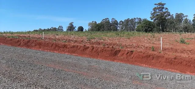 Terreno, foto 4