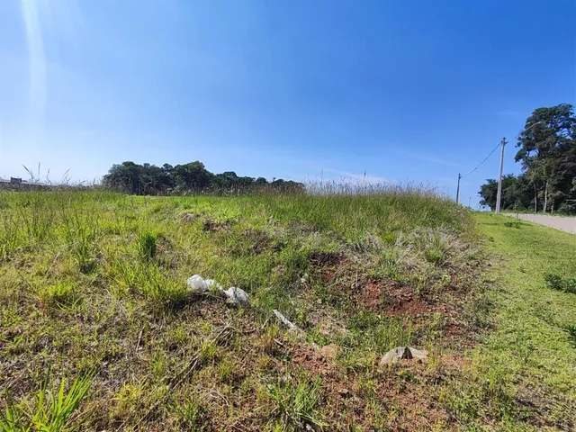 Terreno, foto 5