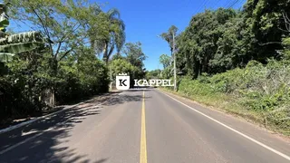 Vista de uma estrada asfaltada cercada por vegetação densa.