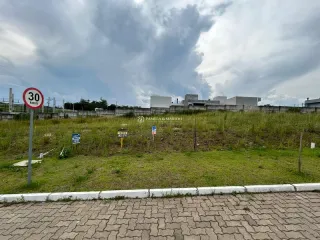 Foto de uma área gramada com vegetação em um terreno externo.