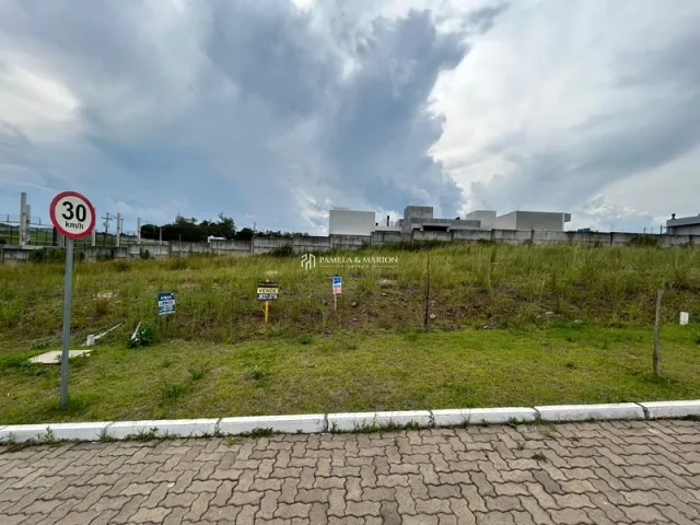 Foto de uma área gramada com vegetação em um terreno externo.