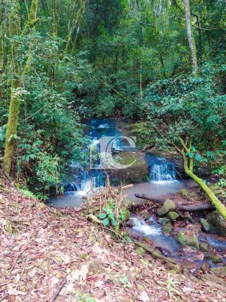 Área rural, foto 3