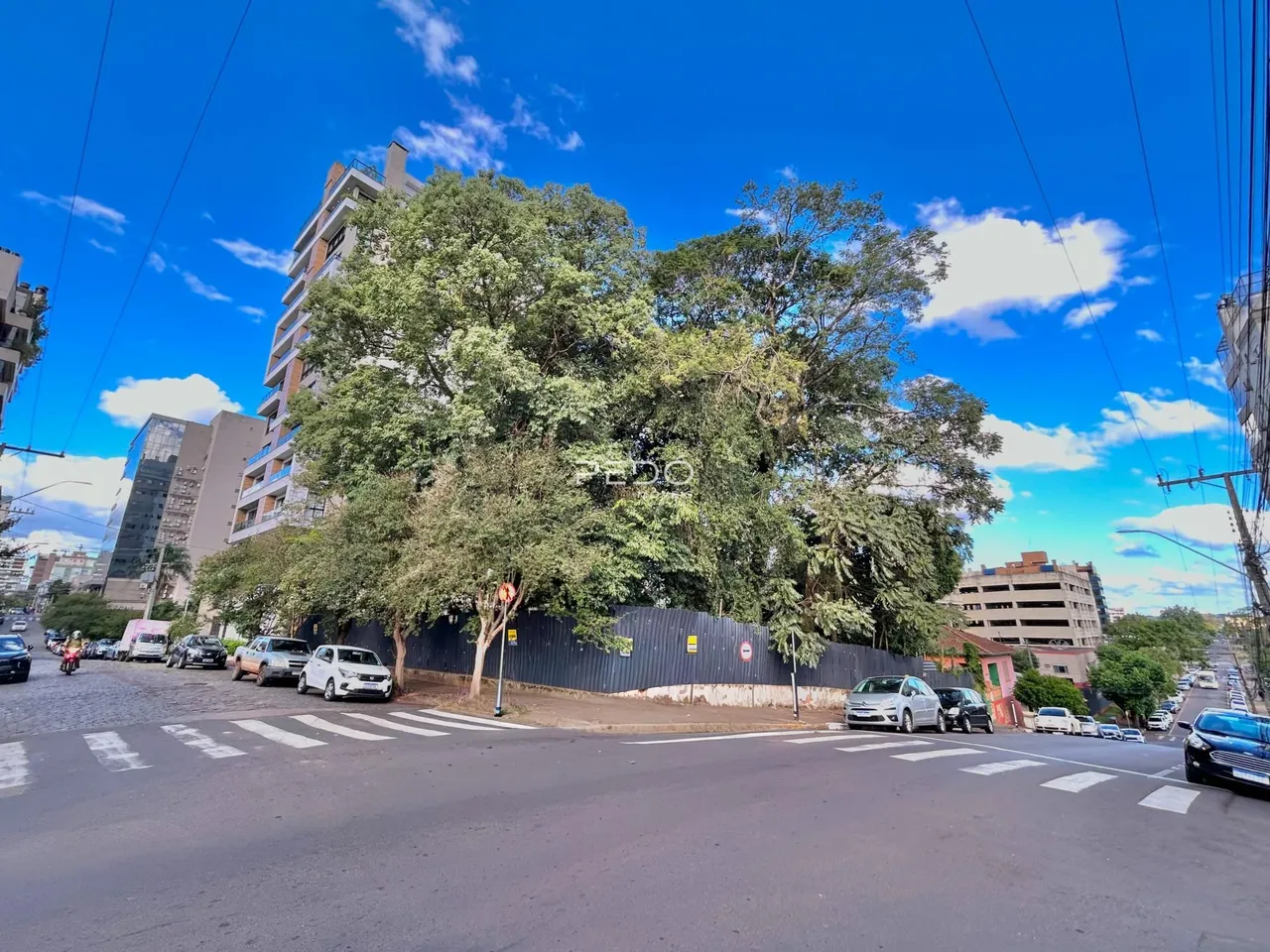 Vista da rua com uma grande árvore em frente a um edifício residencial.