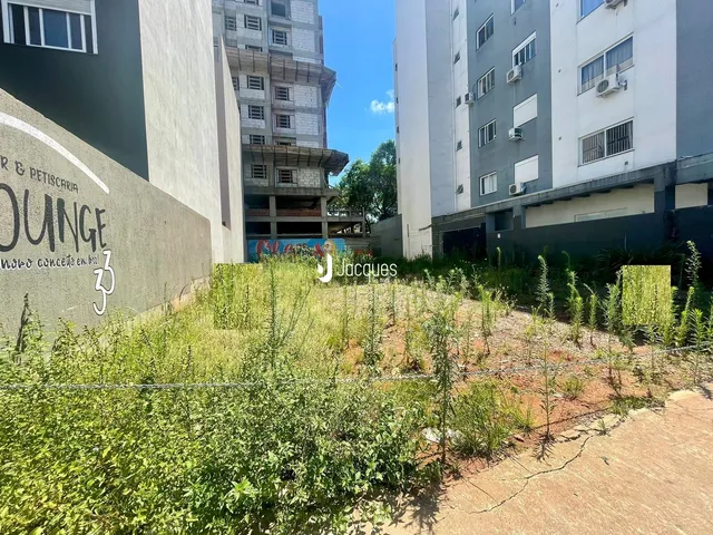 Vista externa de um terreno com vegetação alta e cerca.