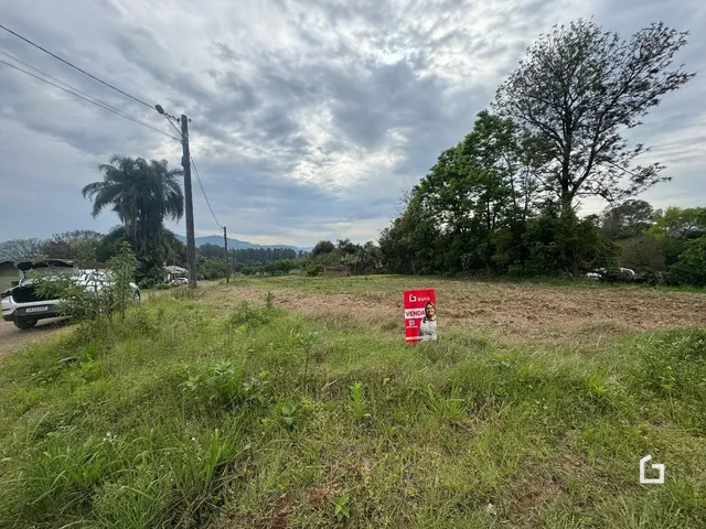 Campo gramado com árvores e poste em uma paisagem aberta.