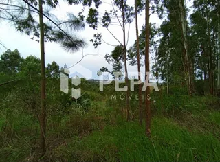Terreno, foto 4