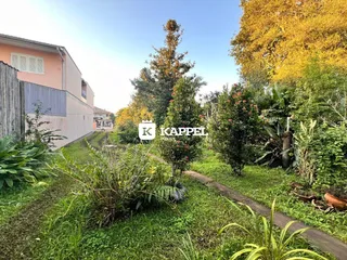 Vista externa de uma residência com jardim e vegetação.