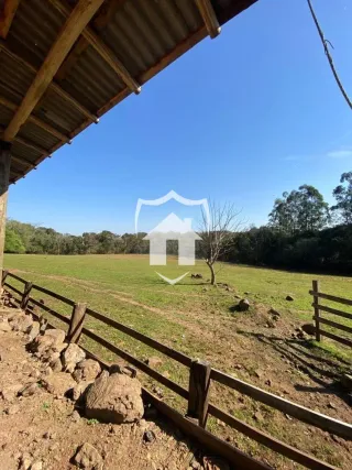 Área rural com 3 dormitórios, foto 29