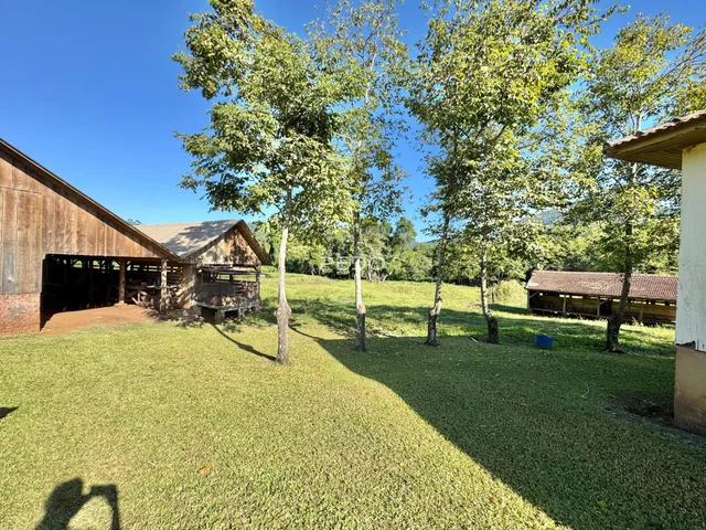 Vista externa de um terreno com gramado e árvores em Lajeado.