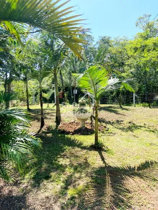 Área rural com 3 dormitórios, foto 14