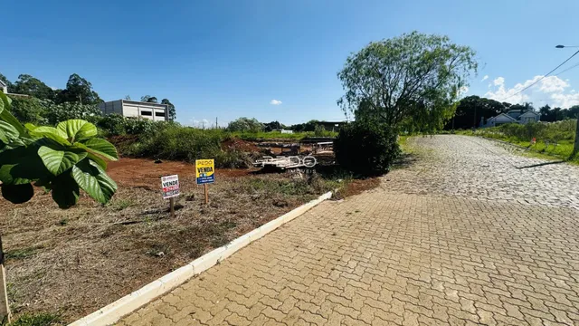 Vista da estrada de terra e vegetação ao lado de uma borda de concreto.