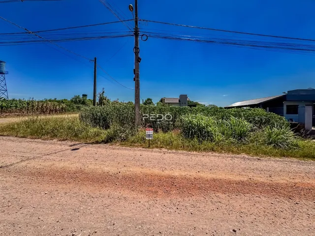 Vista da estrada de terra com vegetação ao fundo em Lajeado, Brasil.