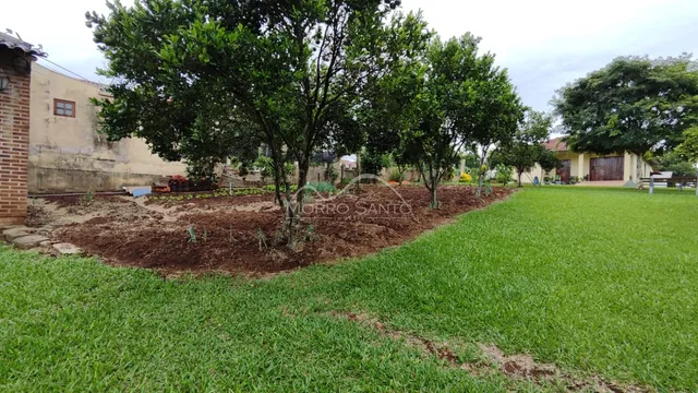Vista externa mostrando um gramado verde com árvores e terra no jardim de uma propriedade.