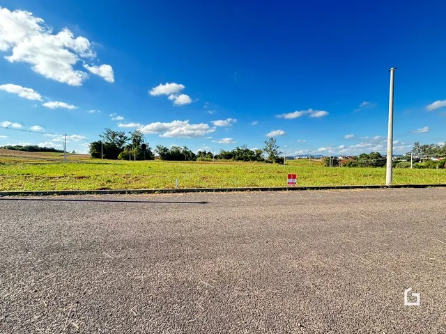 Vista de um campo gramado com céu azul e árvores.