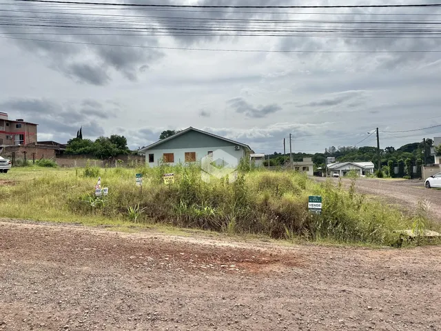 Vista externa de uma propriedade rural com vegetação densa e uma estrada de terra.