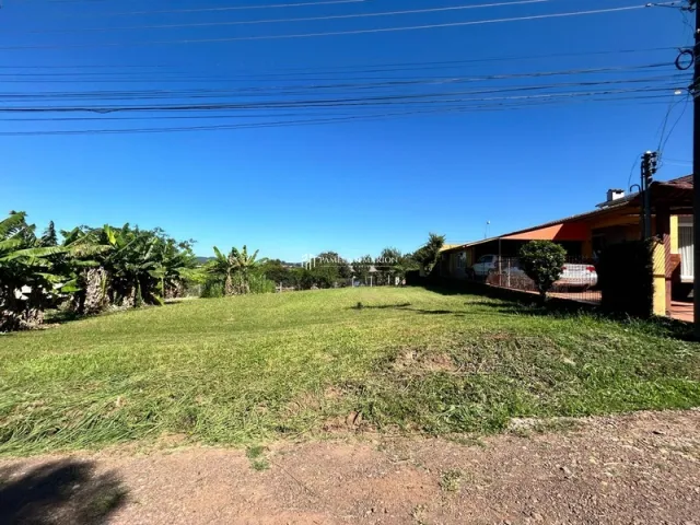 Vista externa de um gramado verde com árvores ao fundo.