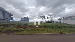 Terreno, foto 2