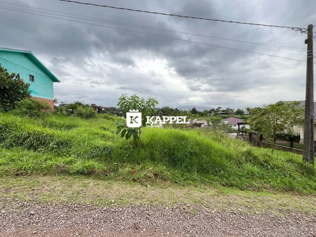 Vista externa mostrando vegetação alta e uma construção ao fundo sob um céu nublado.