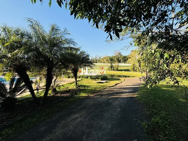 Vista exterior da propriedade com vegetação e um caminho de terra.