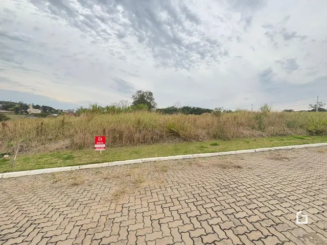 Vista da propriedade com vegetação alta e área pavimentada na frente.