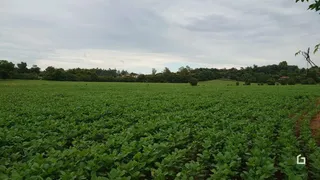 Terreno, foto 9