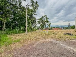 Vista externa de um terreno com vegetação seca e grama.