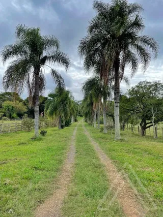 Área rural com 3 dormitórios, foto 16