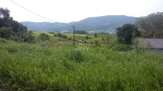 Terreno, foto 3