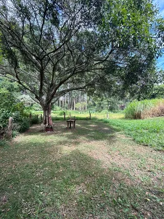 Área rural com 2 dormitórios, foto 16