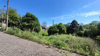 Terreno, foto 1
