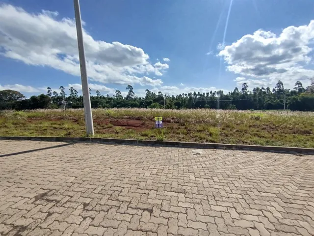 Terreno, foto 2
