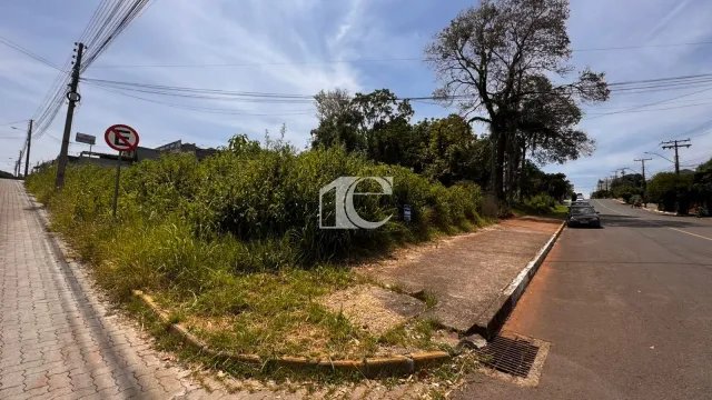 Terreno, foto 4
